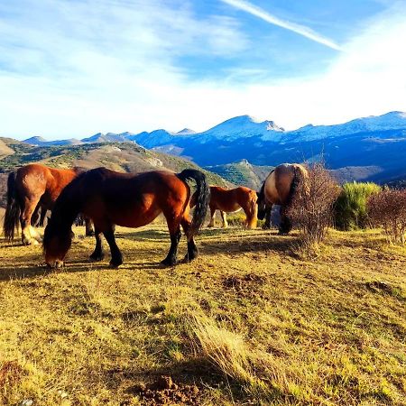 La Casita De La Montana Daire Alba de los Cardaños Dış mekan fotoğraf