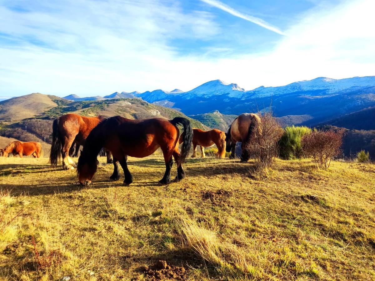 La Casita De La Montana Daire Alba de los Cardaños Dış mekan fotoğraf